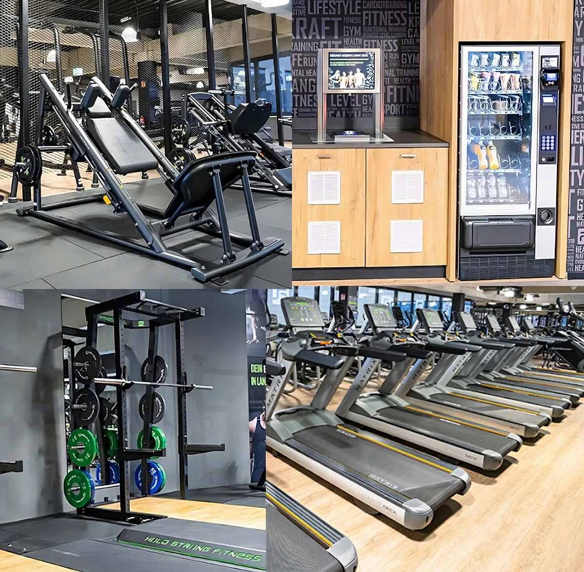 Trainingsbereich · Fitness Level Langen