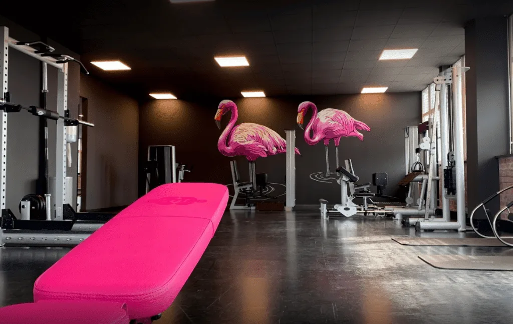 Trainingsbereich · McFIT Fitnessstudio Stuttgart Mühlhausen