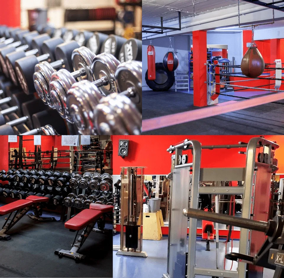 Trainingsbereich · Barbarossa Gym Inh. Mario Milana