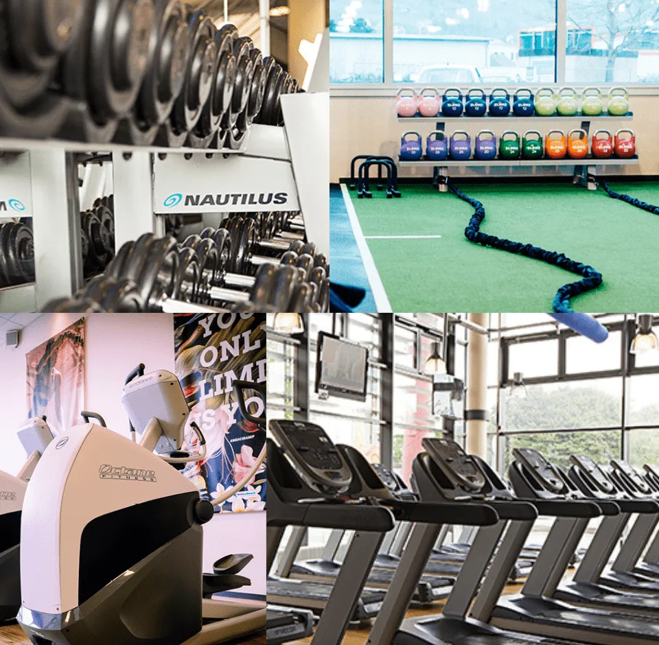 Trainingsbereich · VeniceBeach Mannheim Neckarau Premium Fitness