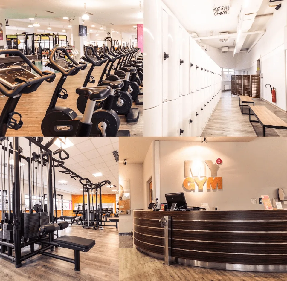 Trainingsbereich · MYGYM Fitnessstudio Salzburg Wals