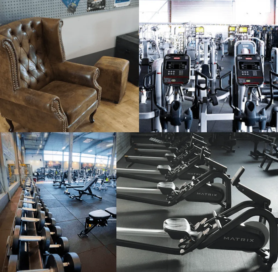 Trainingsbereich · DAVID Fitness Halle 46
