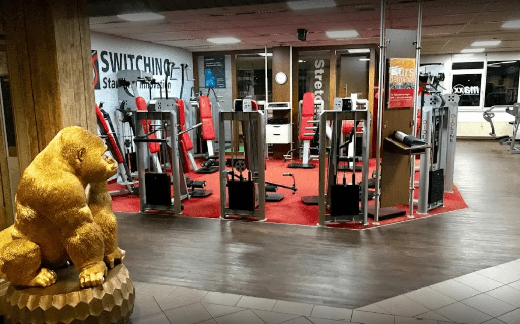 Trainingsbereich · Maxx Sports und Wellness