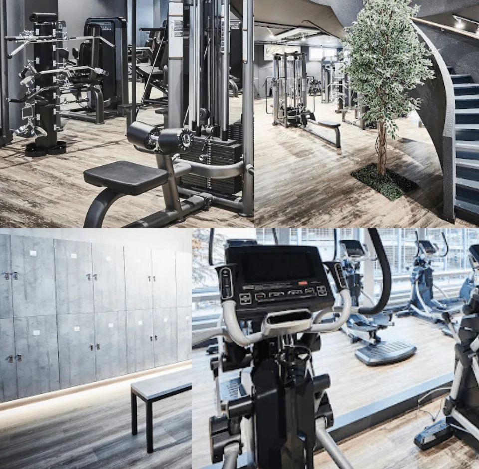Trainingsbereich · update Fitness Basel Dreispitz