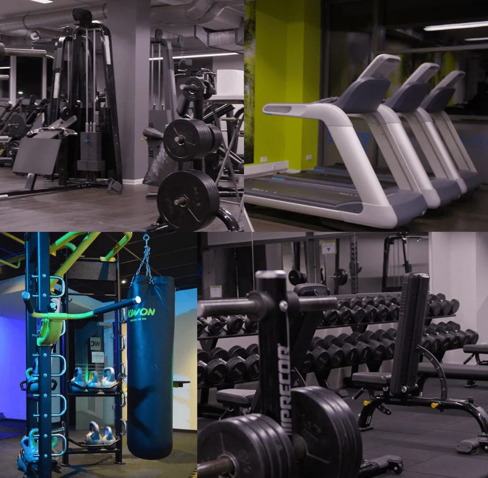 Trainingsbereich · Fitnessrausch Ibbenbüren (ehem. Kingdom of Sports)