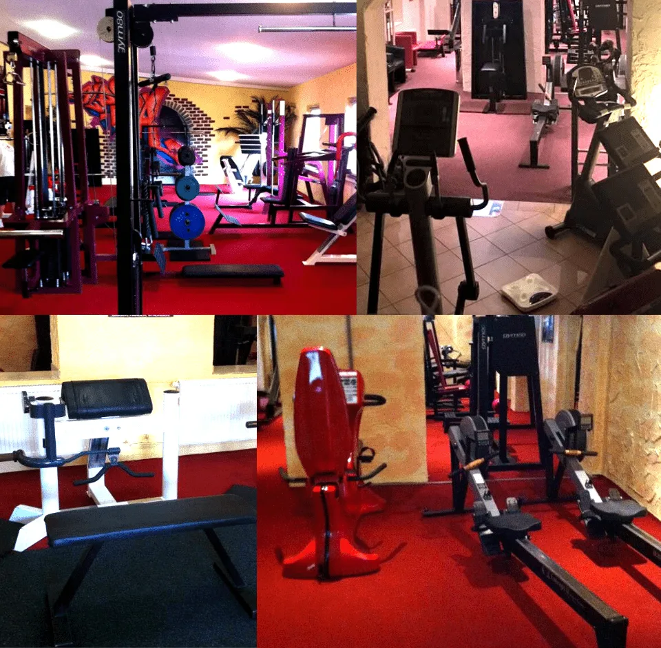 Trainingsbereich · ALPHA Fitness