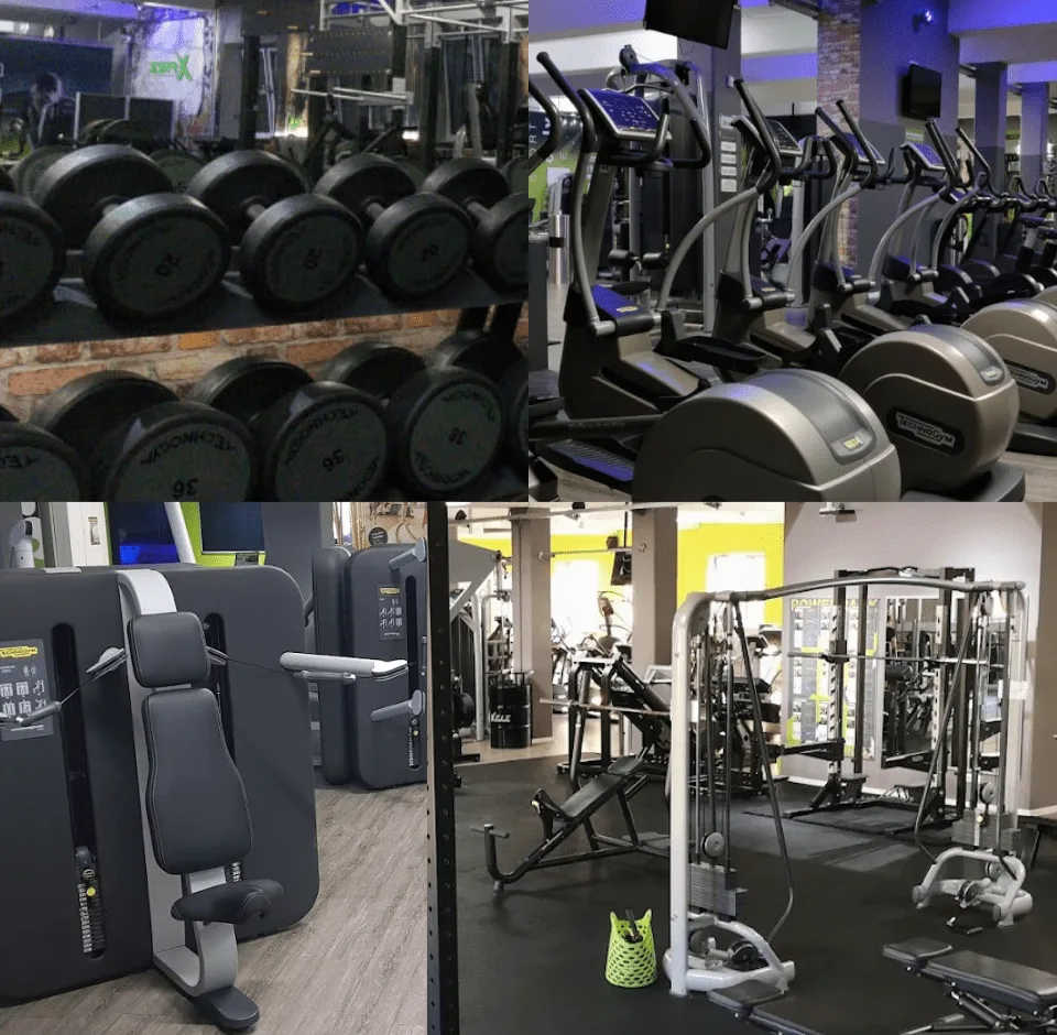 Trainingsbereich · X-Fit Gym