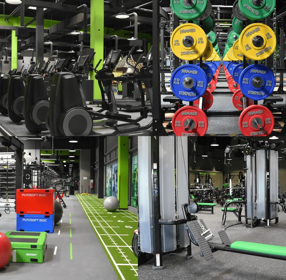 Trainingsbereich · FIT/ONE Wien-Liesing