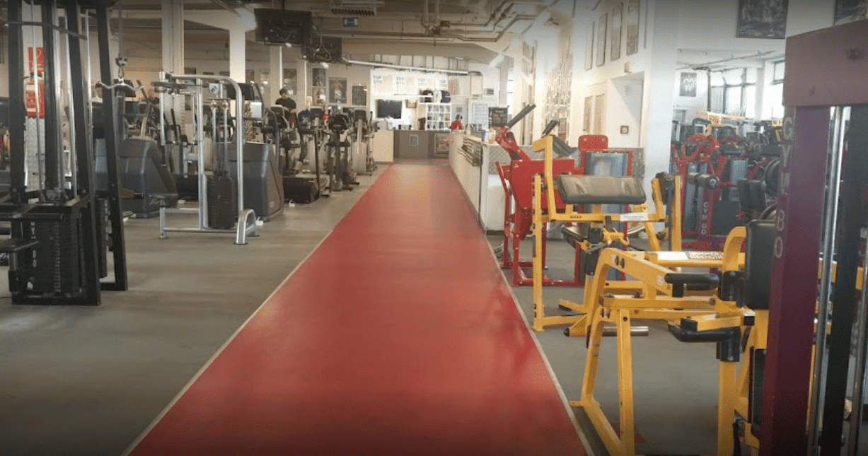 Die 10 besten Fitnessstudios in Wien (2023) GYMSIDER