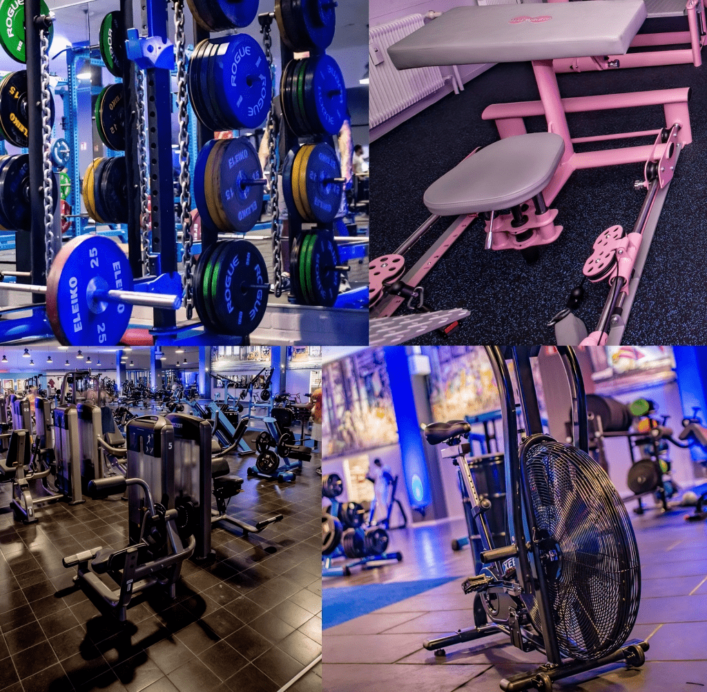 Kingdom of sports Oldenburg GYMSIDER